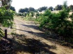finca-casa-el-platero